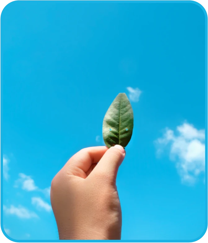 Air purification