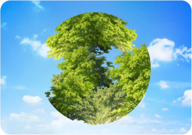 A globe of green trees against a clear blue sky